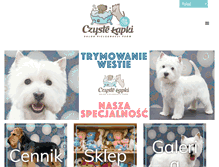 Tablet Screenshot of czystelapki.pl